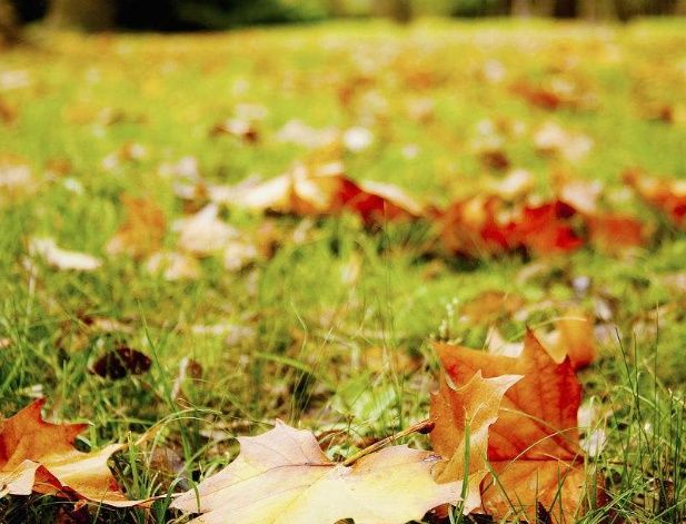 换季到,鼻炎闹,艾灸四个穴位可治疗各种鼻炎,还