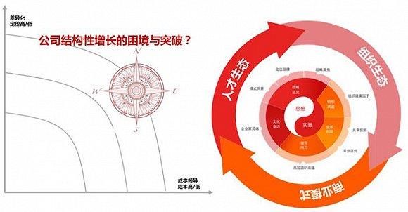 CEO们的丛林生存最新指南 成功与失败都以10倍速在变化