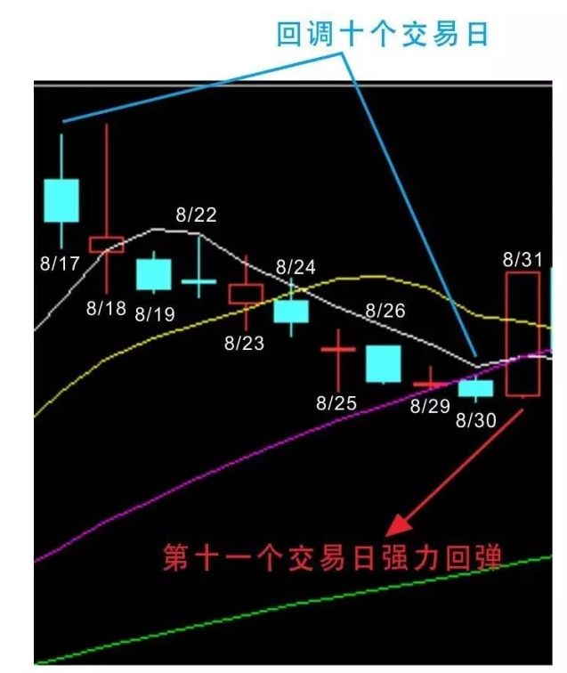 浅谈概率学选股到底是技术面还是独树一帜