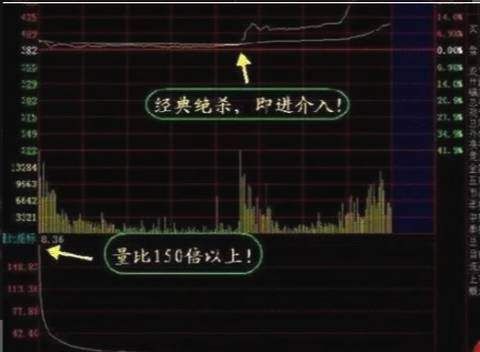 中国漂亮女博士豪言:掌握换手率选股法，快速盈利，值百遍阅读