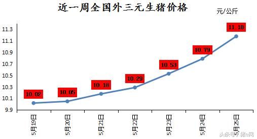 猪价一周涨一块 你的小心脏受得了吗？