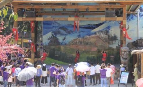 钢琴教师资格证