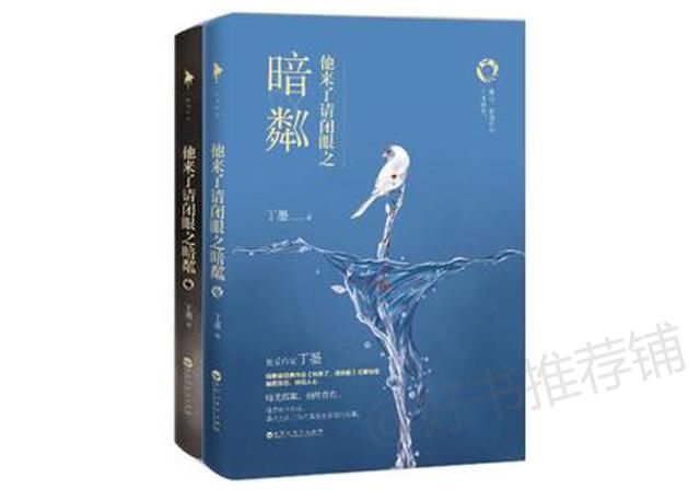 5本推理言情文,男女主携手一起破案的小说