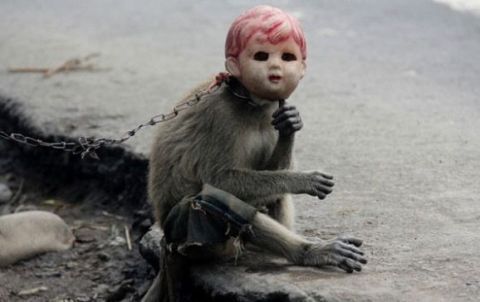 男子把猴子当娃娃耍,戴面具街头表演,背后的真