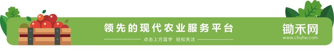 老梁解密:农民为啥不爱种地了?针针见血! 老梁解密:农民为啥不爱种地了?针针见血!