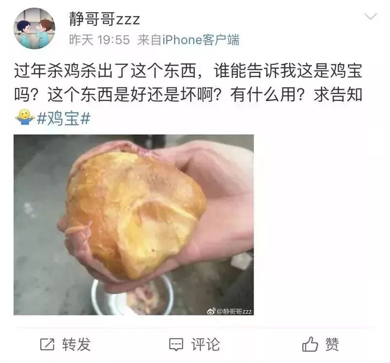 过年杀鸡取出了“鸡宝”，据说价值上千万?你可能想多了!