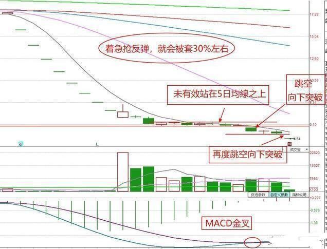 中国股市的“庞氏骗局”终于露出了真面目：散户深夜发出“哭嚎”