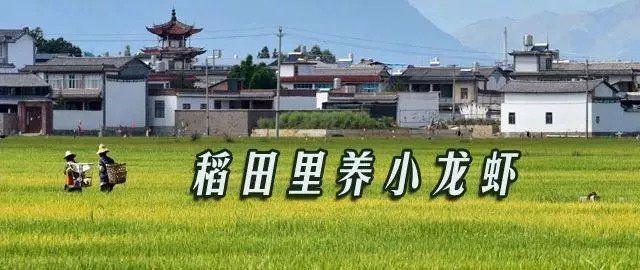 淮安市苏咀镇人口_淮安市镇地图