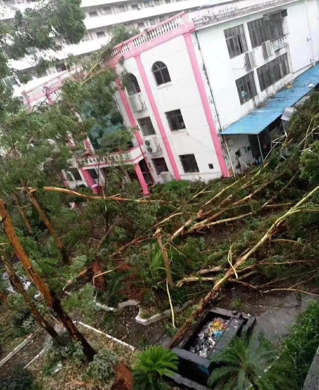 江西地区1人遭雷击！狂风暴雨雷电袭赣！多地受灾