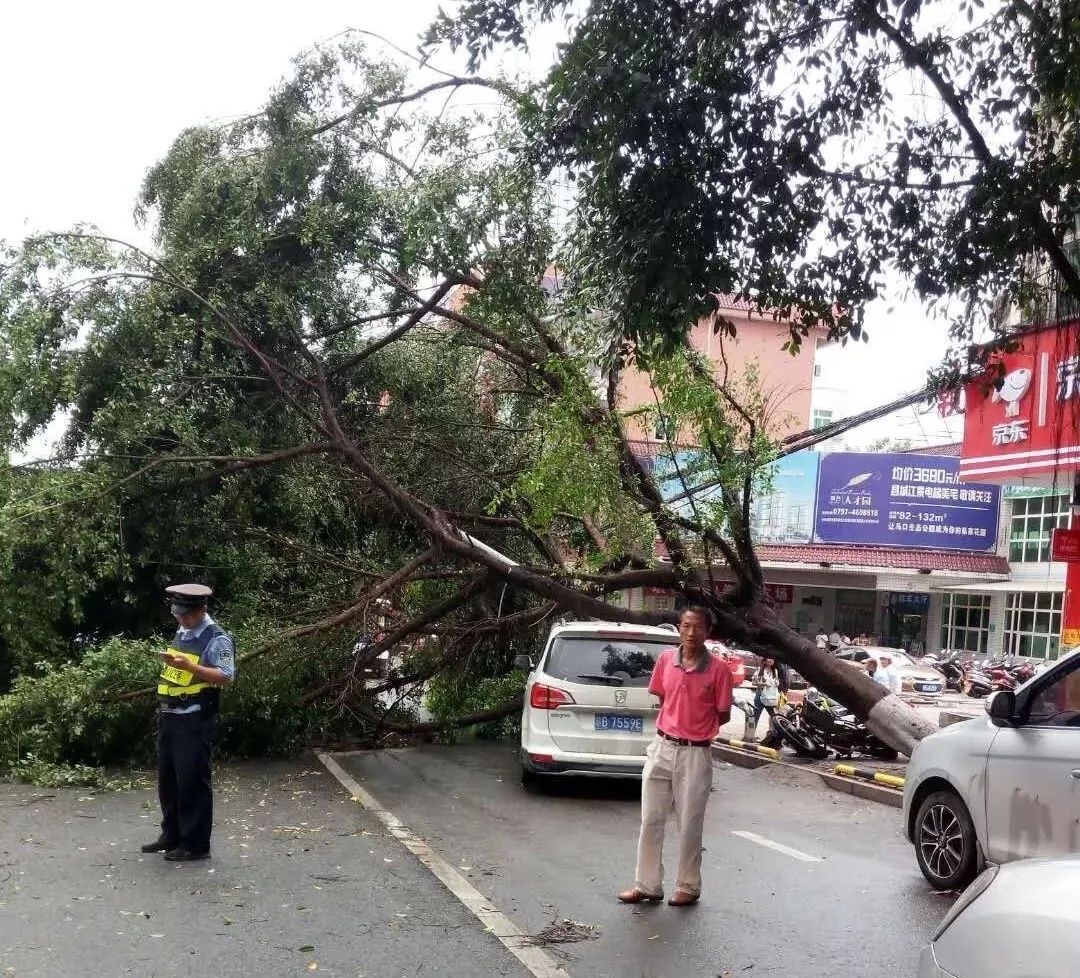 江西地区1人遭雷击！狂风暴雨雷电袭赣！多地受灾