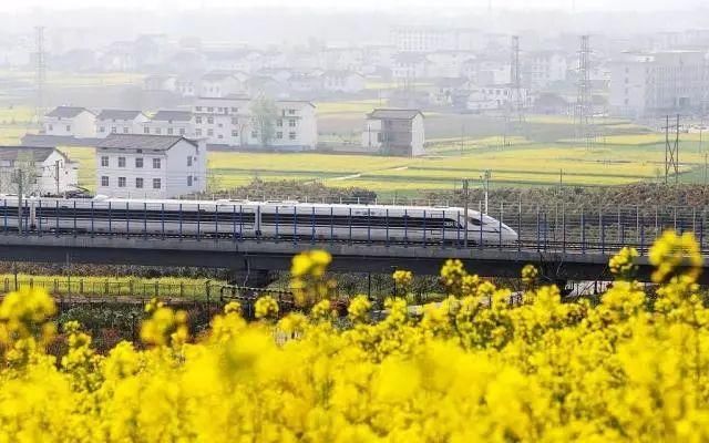 清明买不上票？各主题列车带你游全国！