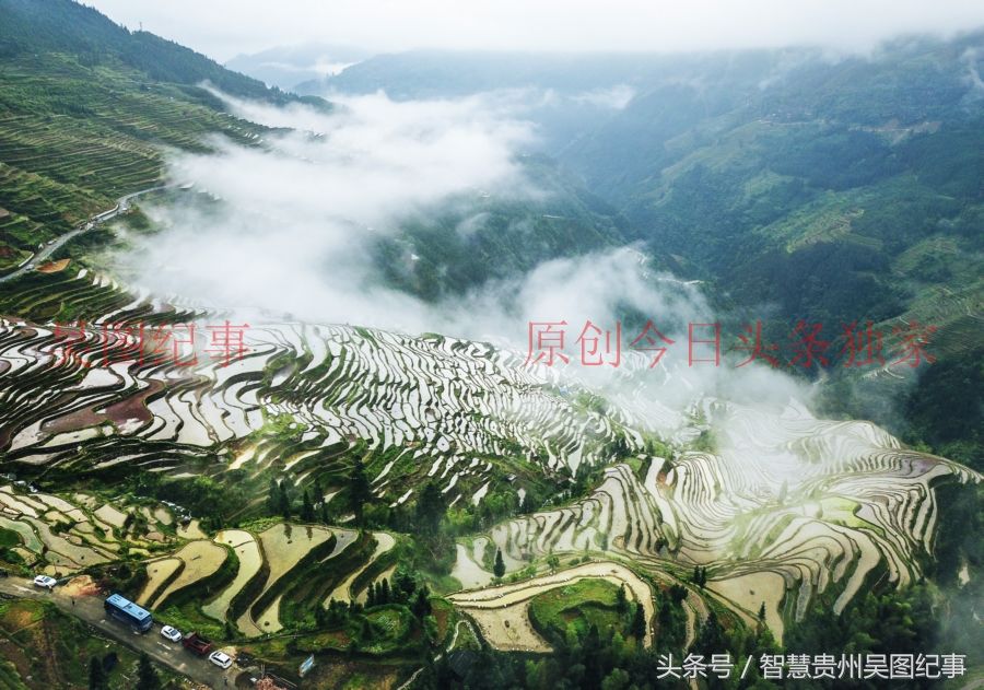 多彩贵州,从江苗族陡坡造田上万亩,全长二十五公里太壮观了