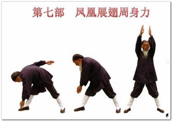 八部金刚功慢动作教学视频 t01597560af6244207e.jpg