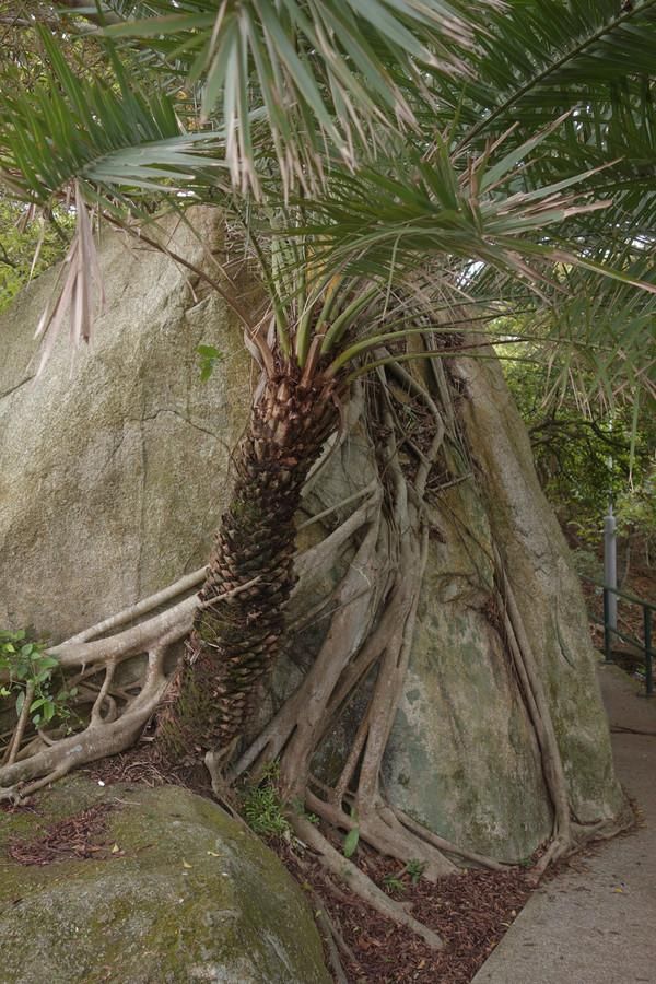 香港人口最稠密的岛屿长洲