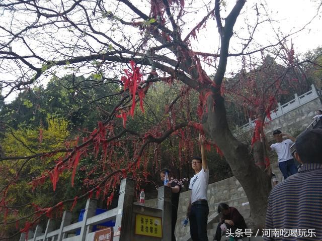 春暖花开之时，登临始祖山，感受轩辕黄帝文化!