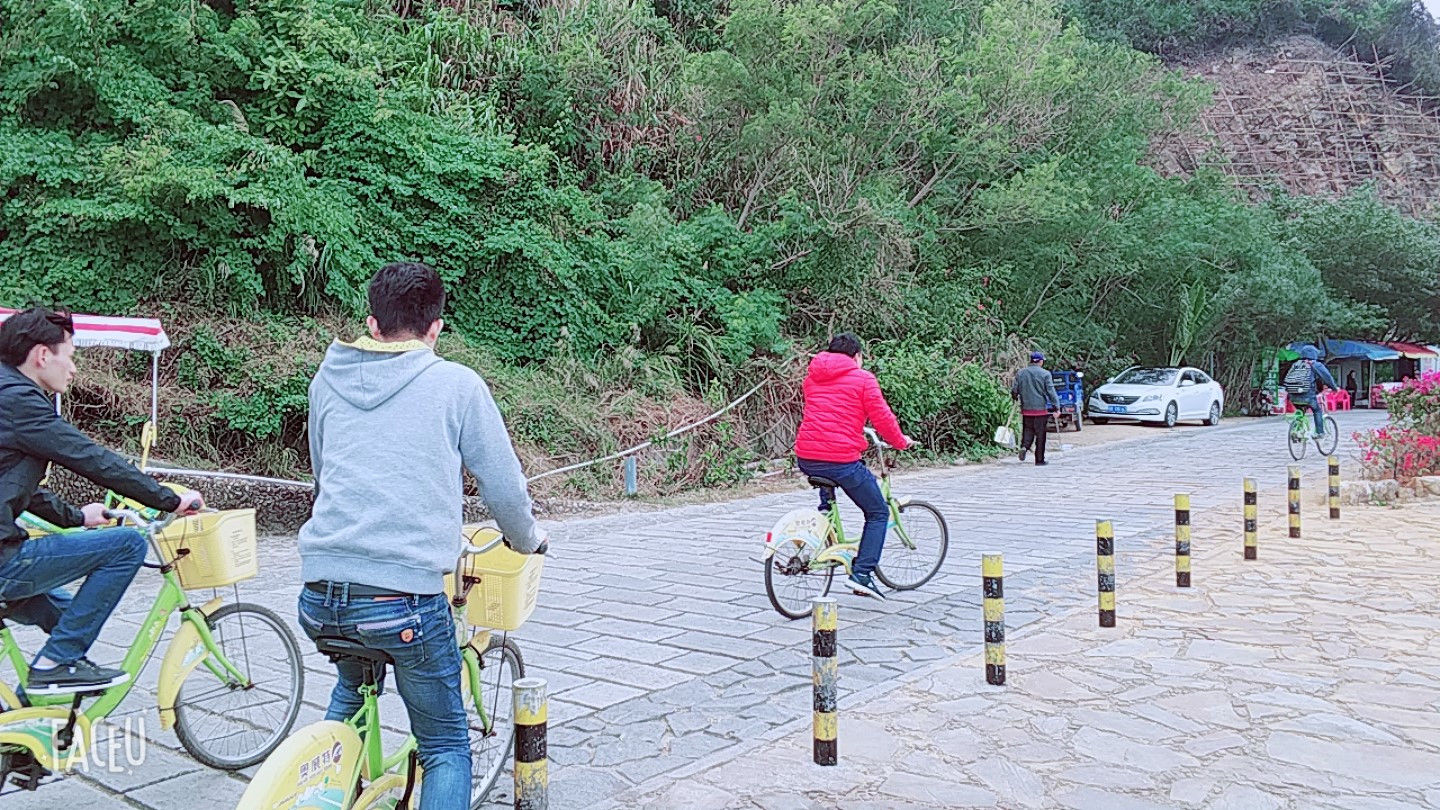 深圳大鹏南澳西冲杨梅坑一日游攻略