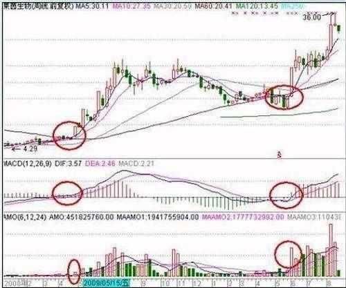 中国股市迎来了“终结”时代，到底是谁在背后操控这惊天大阴谋？