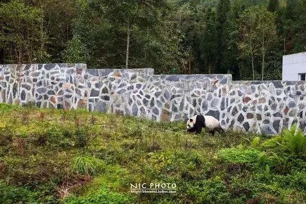 五一小长假，带上家人或朋友到宝兴邓池沟走走