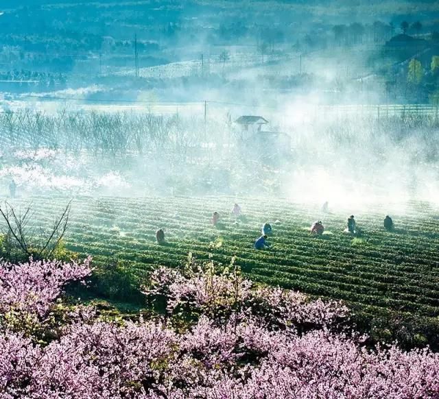 无锡这3个村入选江苏最美乡村，看看有你家乡吗？