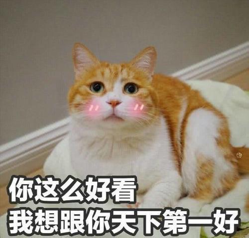 超萌撒娇表情:痴痴的望着你,飞机看,我想坐图片表情包动态你好图片