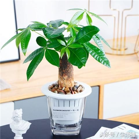 t0159ff6ec4f86cdbe6.jpg