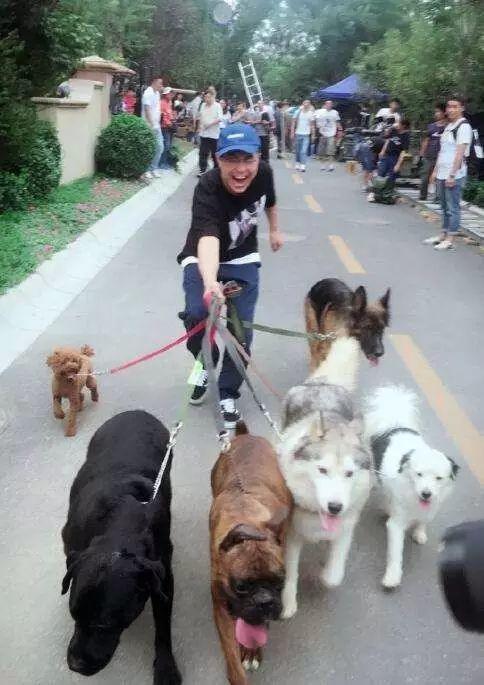 国家关于小区养狗规定