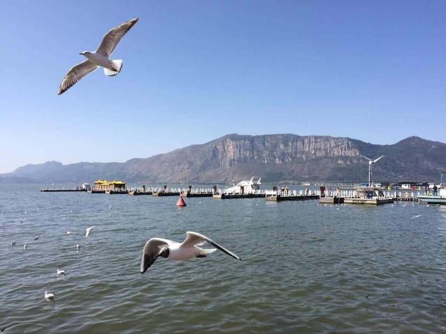 中国唯一世界级春城：年均16.5度，号称四季如春却常有城市不服