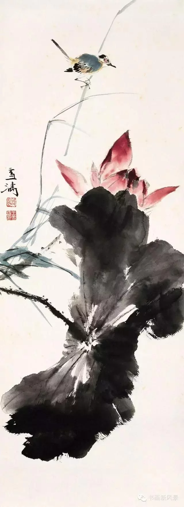 雪濤 花卉 王雪涛画荷精品30幅北京名士画院_屺庄_新浪博客