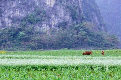 阳春三月，中国10个最美最值得去的旅游胜地，错过再等一年