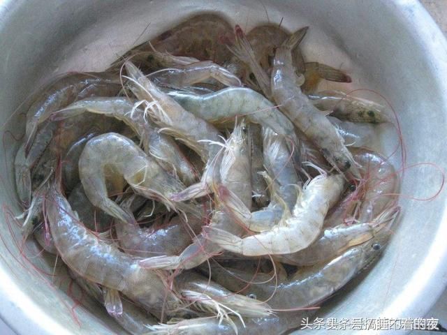 活虾买来怎样保存才新鲜?渔民教你一招,放一年
