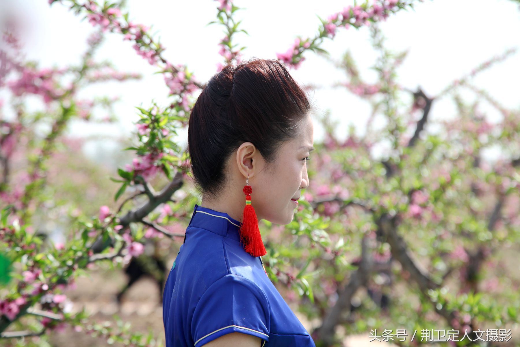 山西运城农村桃花节上高温30度的桃花林中,看