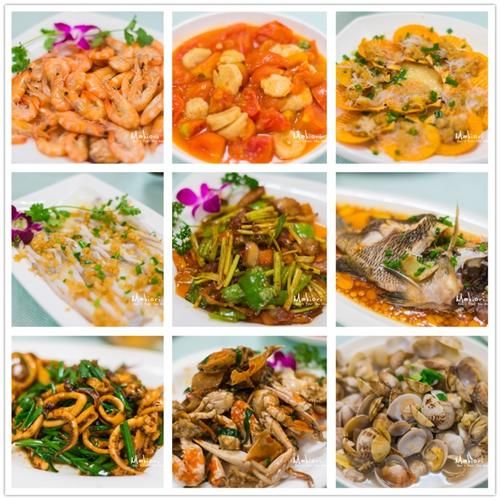 国家为什么不管北海