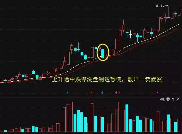 中国股市本是“造富股民”的地方，没想到却变成了抽血的场所