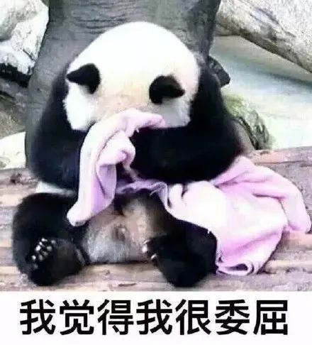 买房的看看:如果茂名取消公摊面积…