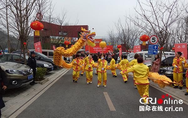 成都彭州2018年通济花海荷兰郁金香节启幕