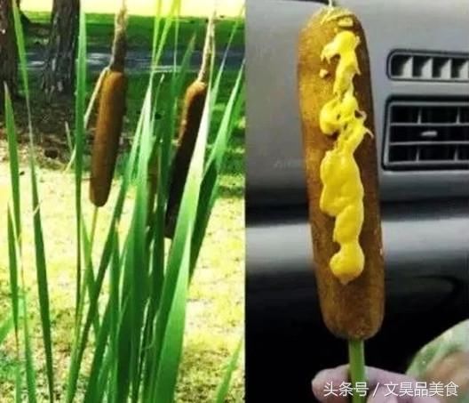 5种看似很好吃的，实际却是坑人的“食物”吃货注意了