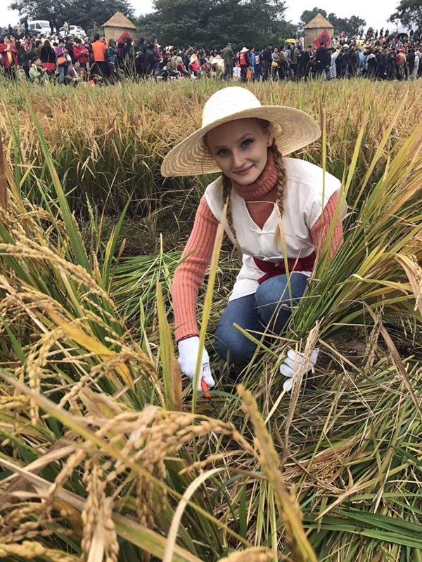 抢鱼抓鸡割稻寻宝品美食 江苏句容天王镇金秋