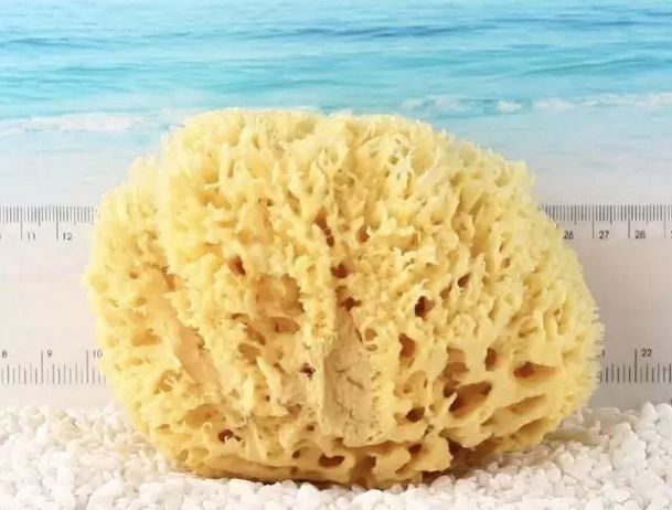 去希腊考察旅游,该给朋友带些什么礼物回来呢