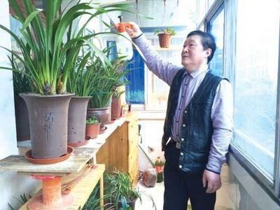 夏季是兰花生长的关键时期,注意这4点,兰花轻松爆盆,太羡慕了