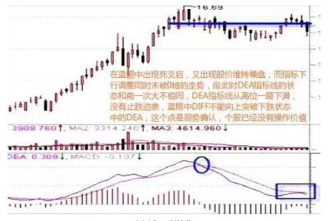 神奇的MACD底背离战法，一买就涨，看懂你离高手就不远了！