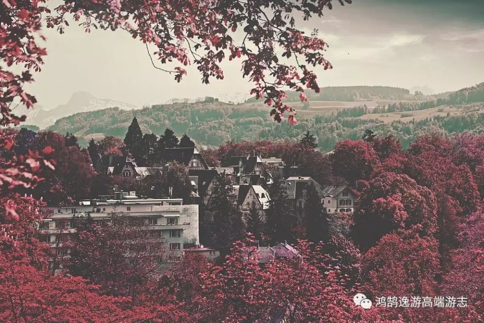 HHtravel鸿鹄逸游荣获 最优瑞士接待旅行社 称号