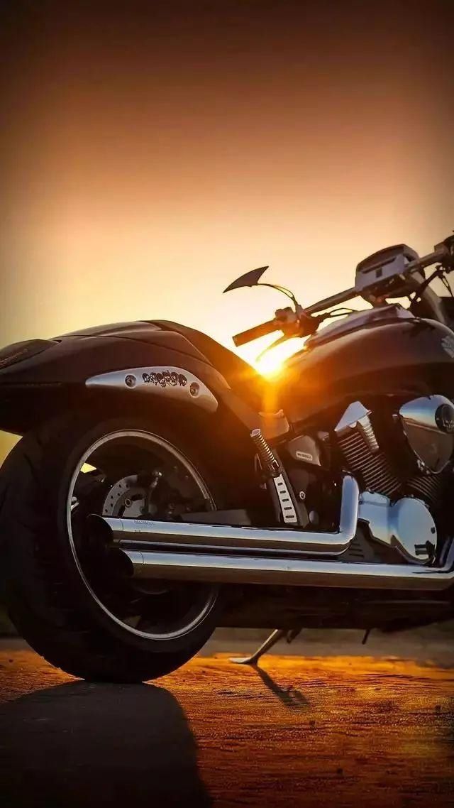 美丽的风景不在