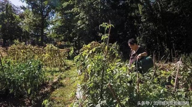 中国这些食物征服美国军队，就喜欢看外国人没见过世面的样子