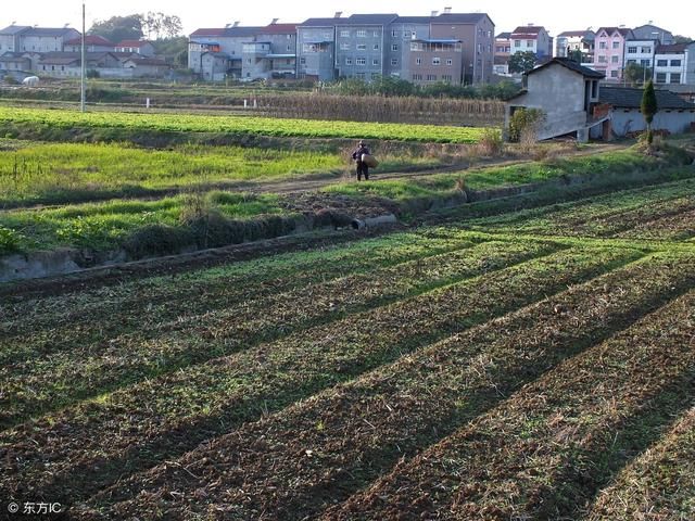 2018年土地确权，农村20岁以下没土地的人，你们知道吗?