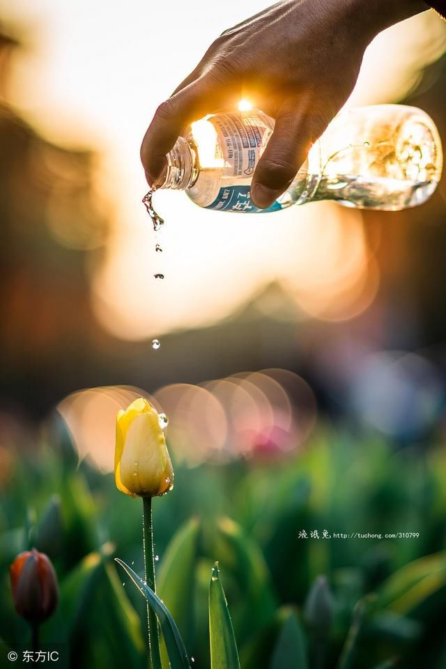 陪伴是最长情的告白,相守是最温暖的承诺