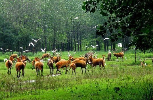 江苏即将迎来一条新高铁,这个城市将成大赢家