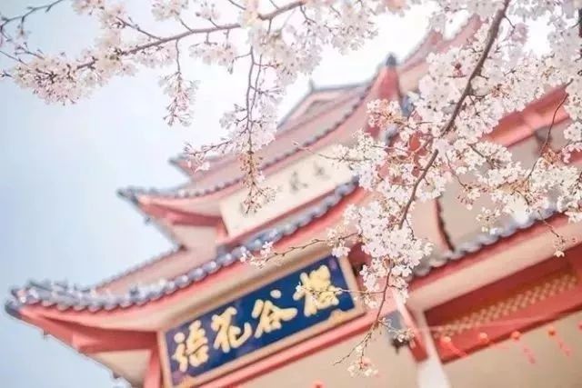 【每月在路上】三月,送你最in的赏花攻略,十大赏花胜地,愿你不