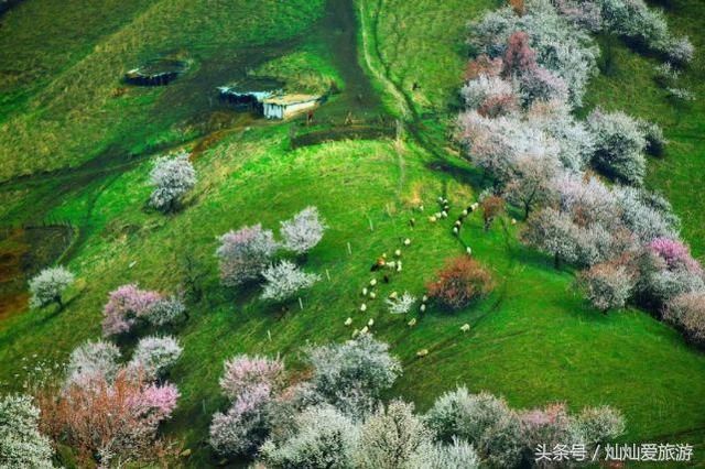 3月份最值得去的20个地方，全都美哭了，新春第场一旅行你去哪儿