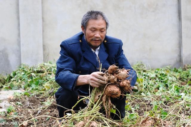 父亲救疯老头一命，反遭老头一顿暴打，半年后却因此成为百万富翁