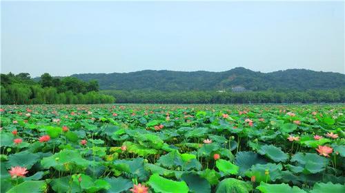 这个地方是中国十大风景名胜之一，坚持门票免费，损失超过3亿！